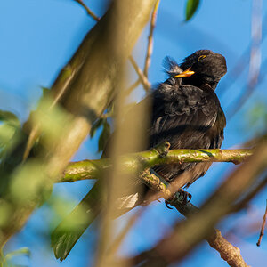 F75_6842-2.jpg