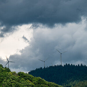 20220605-NZ6_9559.jpg