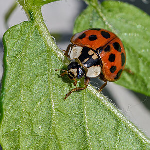 OF5_22051.jpg