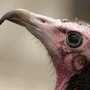 _DSC0053NF.jpg