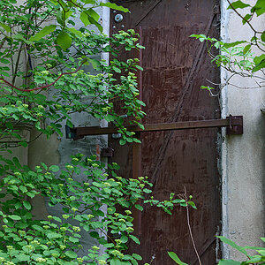 OF2_56232.jpg