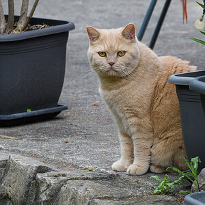OF5_21050.jpg