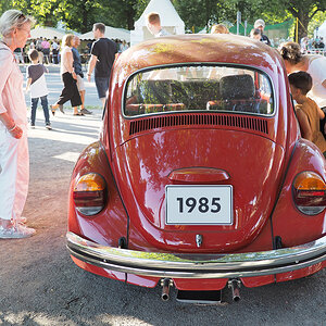 VW Käfer 'Samt-Käfer' H.jpg
