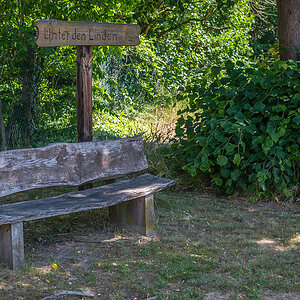 Unter den Linden (1 von 1).jpg