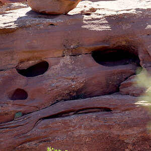 Pareidolie2.jpg