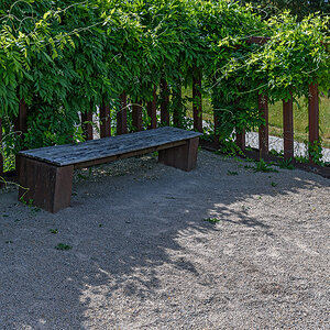 OF2_56494.jpg