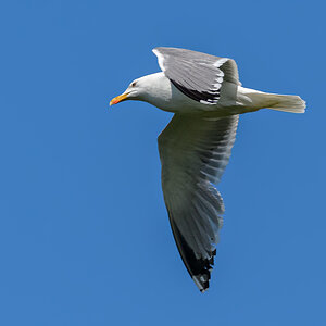 OF5_21682.jpg