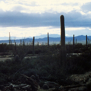 img086.jpg