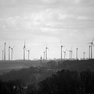 DSC_6802.jpeg