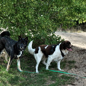 DFX_3938.jpg