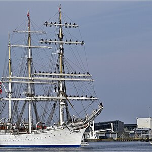 comp__DSC1233_ Kopie.jpg