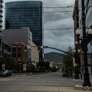 DSC_0981.jpg