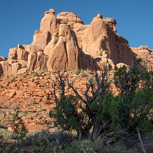 DSC_1033.jpg