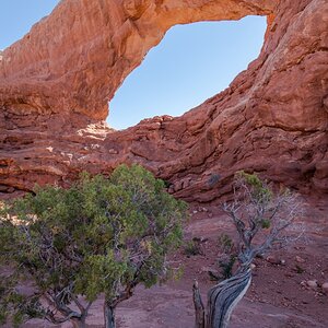 DSC_1072.jpg