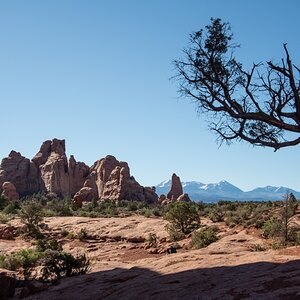 DSC_1075.jpg