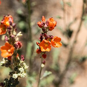 DSC_1114.jpg