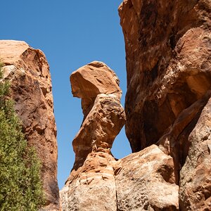 DSC_1124.jpg