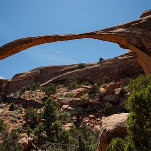 DSC_1126.jpg
