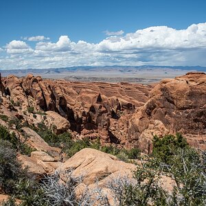 DSC_1128.jpg