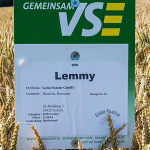 Lemmy (1 von 1).jpg