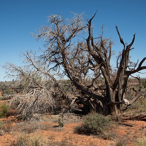 DSC_1147.jpg