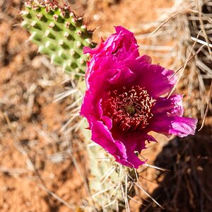 DSC_1148.jpg