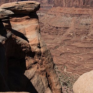 DSC_1156.jpg