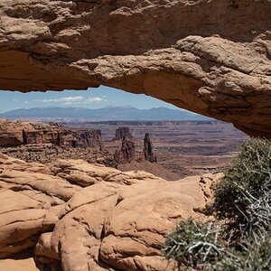 DSC_1180.jpg