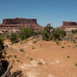 DSC_1203.jpg