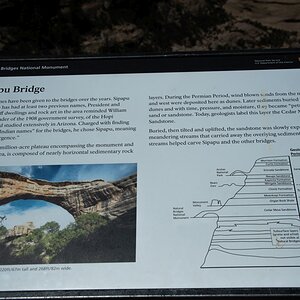 DSC_1229.jpg