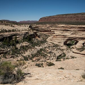 DSC_1230.jpg