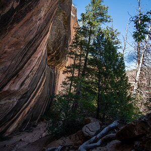 DSC_1235.jpg