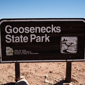 DSC_1271.jpg
