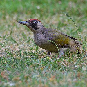 OF5_22594.jpg