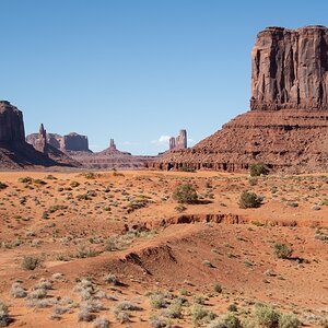 DSC_1309.jpg