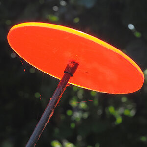 Cazador-del-sol.de rot.jpg