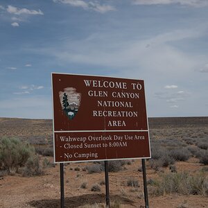DSC_1465.jpg