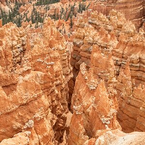 DSC_1505.jpg