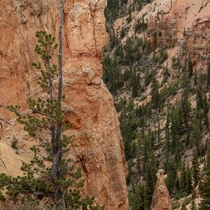 DSC_1518.jpg