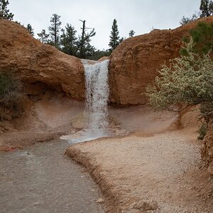 DSC_1534.jpg
