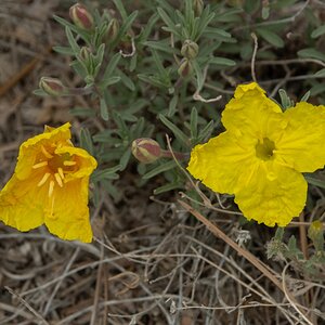 DSC_1536.jpg