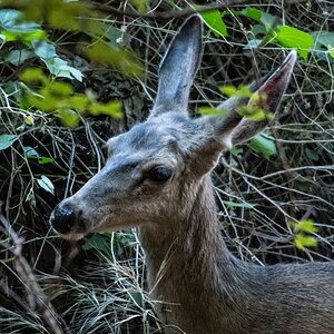DSC_1670.jpg