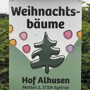 Oh Tannenbaum.jpg