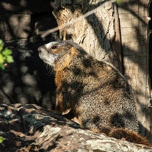 DSC_1762.jpg