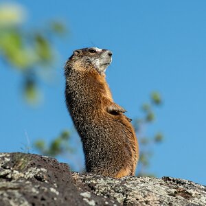 DSC_1778.jpg