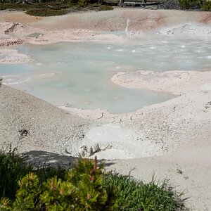 DSC_1874.jpg