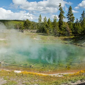 DSC_1936.jpg