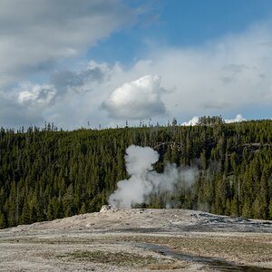 DSC_1977.jpg