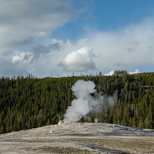 DSC_1980.jpg
