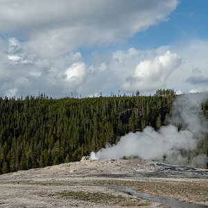 DSC_1985.jpg